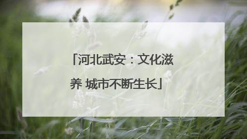 河北武安：文化滋养 城市不断生长